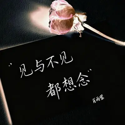 见与不见都想念封面