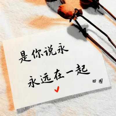 是你说永远在一起(主歌+副歌版) - 田园封面
