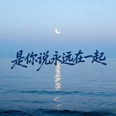 是你说永远在一起(DJ豪大大版主歌）封面