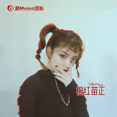 洪荒之力2025封面