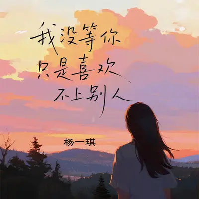 我没等你 只是喜欢不上别人封面