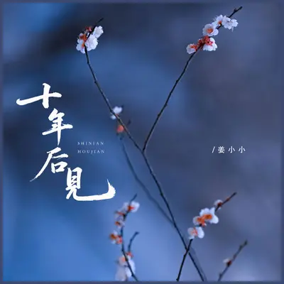 十年后见 - 姜小小封面
