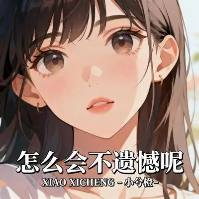 怎么会不遗憾呢封面