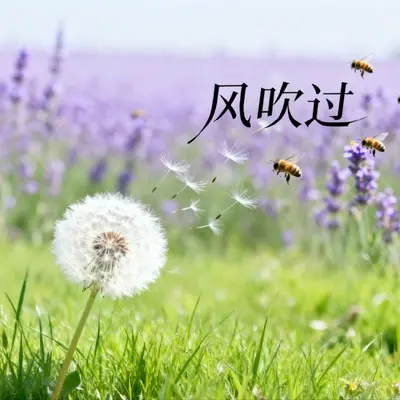 风吹过封面
