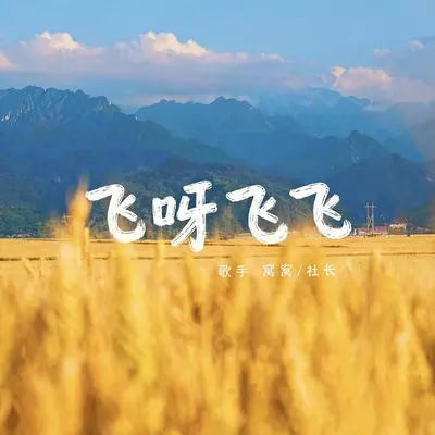 飞呀飞飞封面