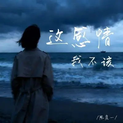 这感情我不该 - 陈质一封面