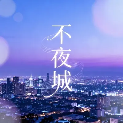 不夜城封面