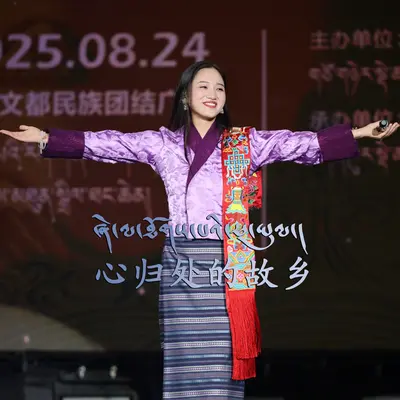 心归处的故乡封面