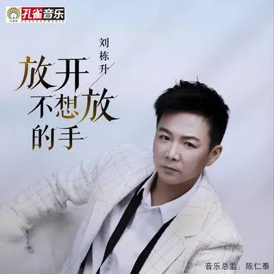 放开不想放的手封面