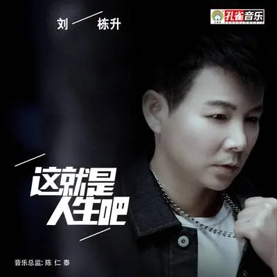 这就是人生吧封面