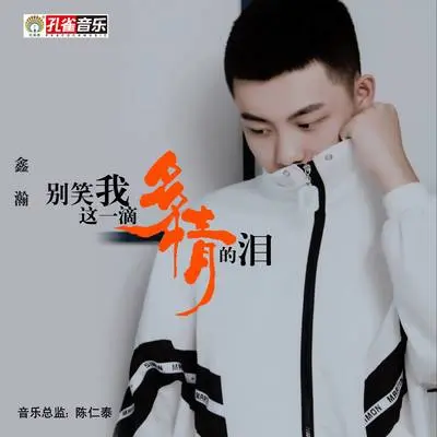别笑我这一滴多情的泪封面