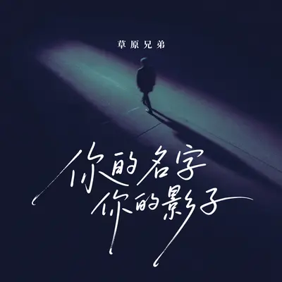 你的名字你的影子封面