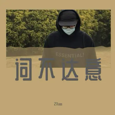 词不达意封面
