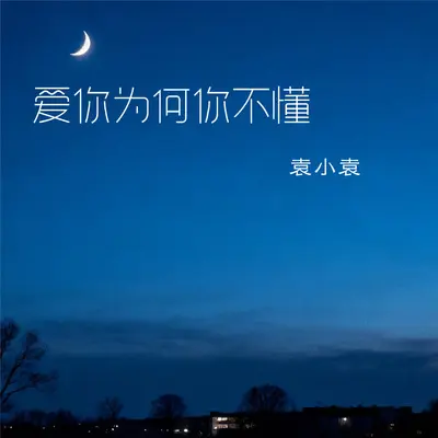 爱你为何你不懂 - 袁小袁封面
