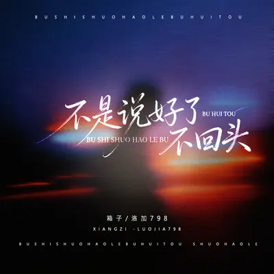 不是说好了不回头封面
