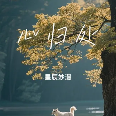 心归处 (正式版)封面