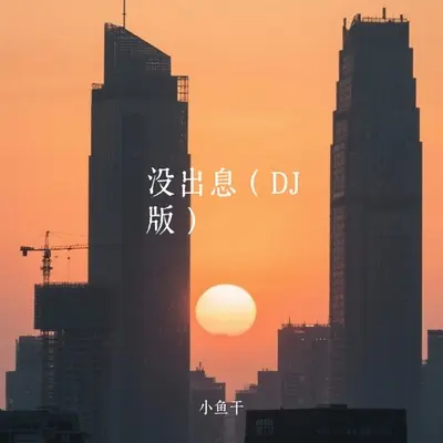没出息封面