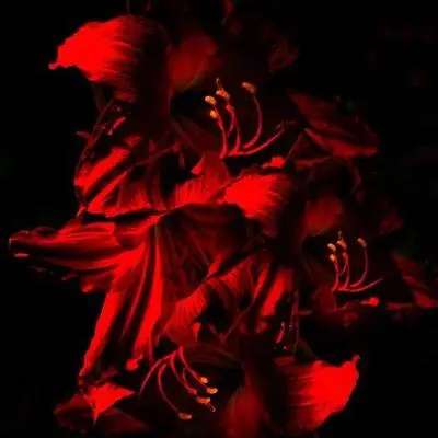 魅惑时尚电子律动 - CREAMY封面
