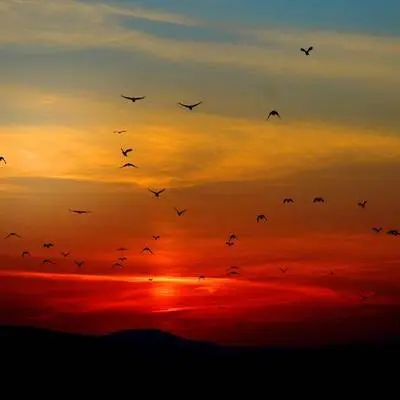 傍晚的田野 - Ambient Acoustic Impression封面