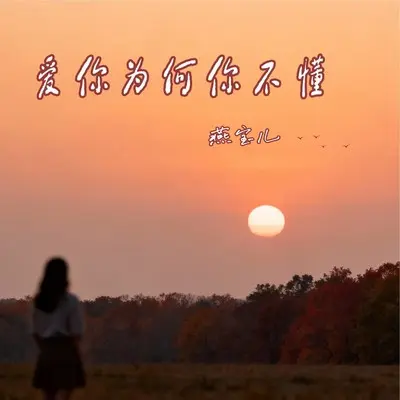 爱你为何你不懂 - 燕宝儿封面