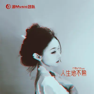 越南鼓我先跳了 - 肖琴 / 肖Music封面