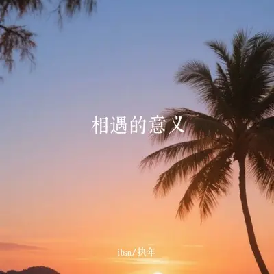 相遇的意义 - 执年 / ibsn封面