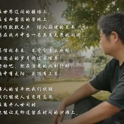 江湖茶封面