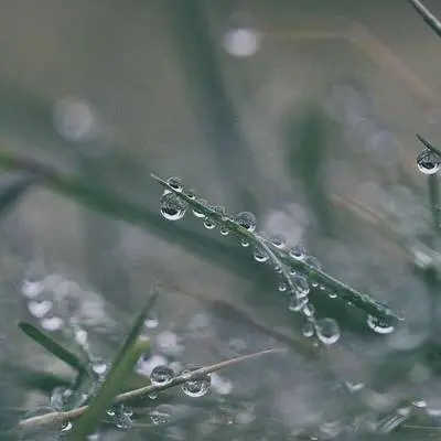 宁静舒缓雨夜钢琴 - Inspiring Piano & Rain - Realitybeats封面