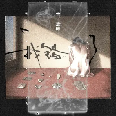 我错了封面