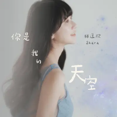 你是我的天空封面