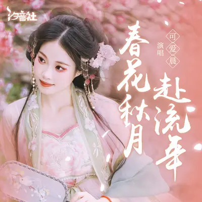 春花秋月赴流年 (DJ名龙版)封面