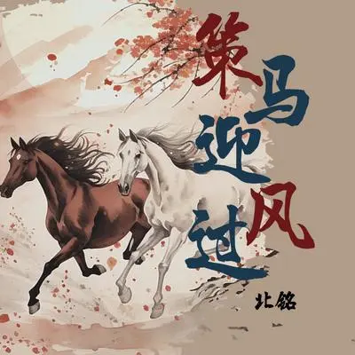 策马迎风过 (DJheap九天版)封面