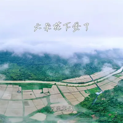 来里马不来封面