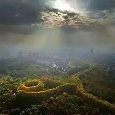 来到这个城市很多年 - 王觉封面