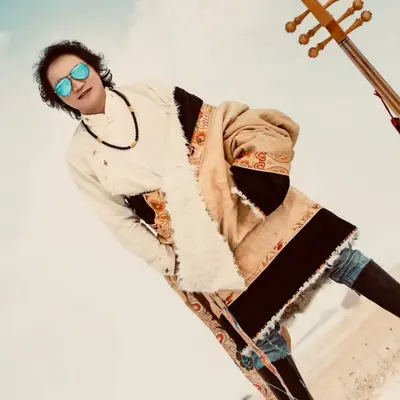 雪莲花封面