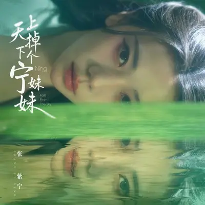 天上掉下个宁妹妹封面