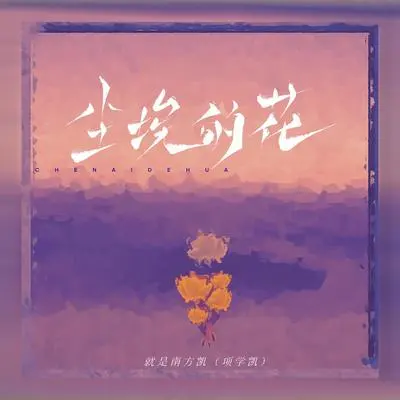 尘埃的花(伴奏)封面