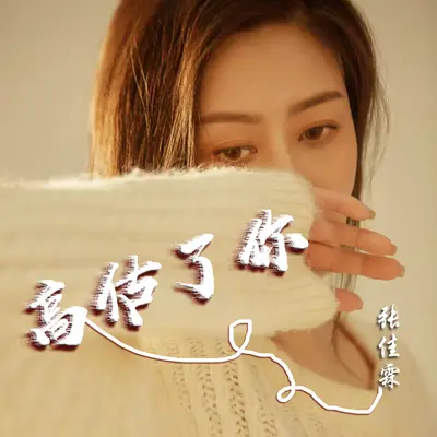 高估了你(伴奏) - 张佳霖封面