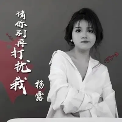 请你别再打扰我 - 杨露封面