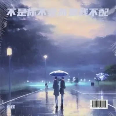 不是你不会而是我不配(伴奏)封面