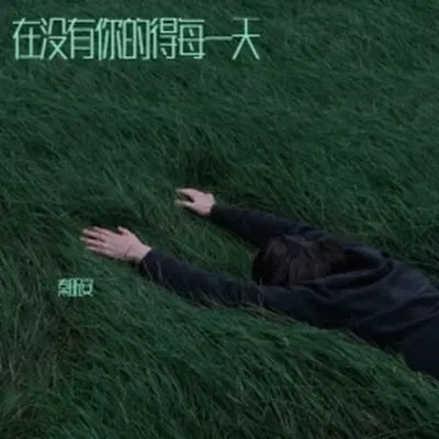在没有你的每一天(伴奏)封面