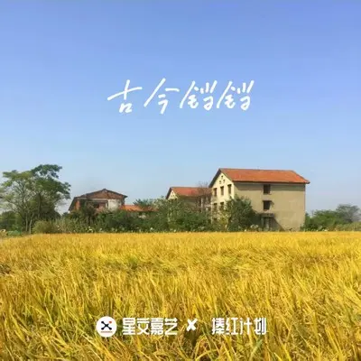 阿姐花儿戴上 (马俊版)封面