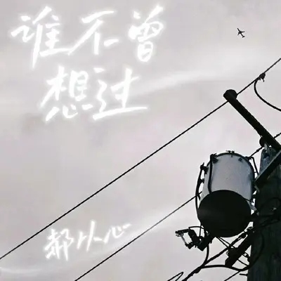 谁不曾想过封面