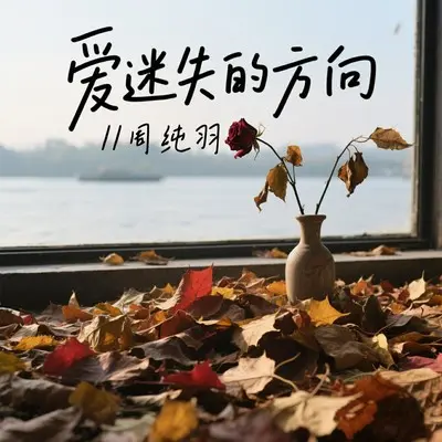 爱迷失的方向封面