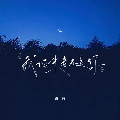 我怕来者不是你(毒药版)封面