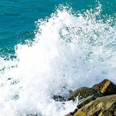 心向贵州封面