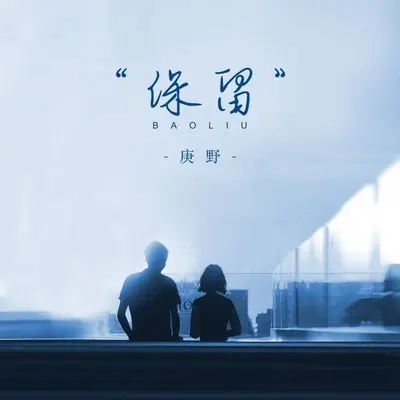 保留 - 庚野封面