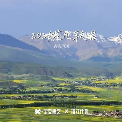 阳世上只爱你了 (大帅版)封面