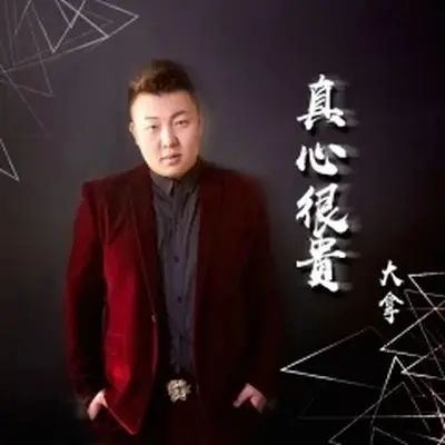 真心很贵（伴奏） - 大拿封面
