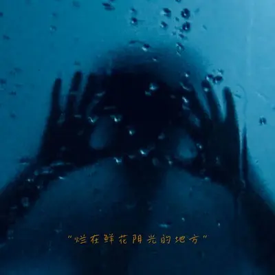 小薇封面